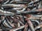 Lots of fresh sprats. Fresh fish concept. Small fishes. Sprat background. Lunch ingredient. For frying. Freshly caught fish