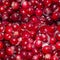 Lots of frozen cranberries. Seamless background, texture of berries.