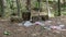 Lots of garbage, bottles and plastic bags in forest left by vacationers. Concept of environmental pollution by people