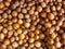 Lots of hazelnuts. Background from unpeeled walnut. Hazelnut pattern. Market stall. Selection of ingredients in the market.