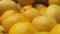 lots of large ripe lemons in a box. close-up of Fresh whole yellow lemons for the market. slow camera movement
