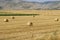 Lots of large round hay bales on dry harvested paddock flat.