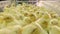 Lots of little chickens on the chicken farm. Egg factory agriculture plant poultry farm. Lots of little yellow chickens