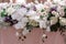 Lots of luxurious fresh flowers on the groom and bride `s wedding table