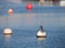 Lots of mooring buoys floating on calm sea water