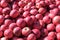 Lots of organic red apples after the harvest, full frame background, selected focus