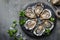 lots of oysters on a plate, in the style of nature-based patterns,