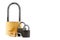 Lots of padlocks isolated on a white background. Multilevel authentication