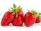 Lots of Pretty Red Strawberries, White Background