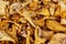 Lots of raw chanterelle mushrooms on the counter. Close-up