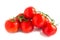 Lots of red ripe tomatoes on a branch, on a white background