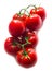 Lots of red ripe tomatoes on a branch, white background top view