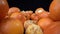 Lots of ripe tangerines shot in extreme detailed macro in a row. On a black background backward movement