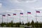 Lots of Russian flags against the sky in the park on a summer day