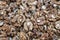 Lots of shelled walnuts. Food background. Close-up. Selective focus