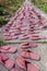 Lots of shoes of the hotels in the Putuoshan, Zhoushan Islands,  a renowned site in Chinese bodhimanda of the bodhisattva