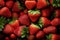 Lots of strawberries. Strawberry harvest close-up. AI Generated