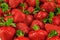 Lots of tasty red strawberries as a background. Appetizing ripe berries. Summer harvest. Close up