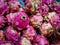 Lots of very fresh purple dragon fruit on supermarket shelves