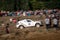 Lotto Baja Poland eight round of this year\'s FIA World Cup for Cross Country Rallies