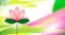 Lotus blossom background or card.