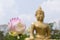 Lotus Buddha backgrounds