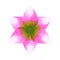 Lotus chakra mandala logo symbol concept pink green flower floral leaf watercolor painting icon illustration design sign