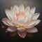 Lotus A Dark And Serene Artwork By Jemima Wilmsen