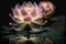 Lotus with fantasy lighting at pond, drops, beautiful, zen, luminous