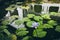 Lotus flower against water reflection of cave temple