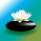 Lotus flower on black spa stone logo