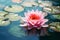 Lotus flower in full bloom, peacefully floating on the mirrored surface of a serene lake. Ai generated