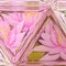 Lotus flower illustration and stained glass background in pastel pink color