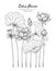 Lotus flower and leaf hand drawn botanical illustration with line art on white backgrounds