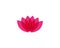 Lotus Flower logos vector design