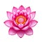 Lotus flower with mandala on white background. Ai generative