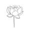 Lotus flower open on a stem. Lotus icon for invitations and cards, business cards