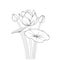Lotus flower pencil art, Black and white outline vector coloring page and book for adults and children flowers waterlily,