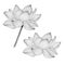 Lotus flower in pencil drawing isolated on white, botanic illustration with realistic lotus flower, pencil sketch with water lily