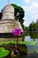 Lotus flower with stupa Bali, Indonesia