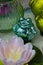 lotus and frog garden decoration