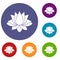 Lotus icons set