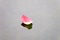 Lotus petal over water