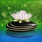 Lotus pink flower on black spa stone logo