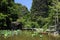 Lotus pond and pedestrian bridge