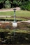 Lotus pond statue at the Botanical gardens, Malaga, Spain.