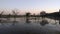 Lotus pond water reflecting like mirror, trees are appear dual side moss in pond.