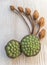 Lotus seeds and dried blossom