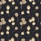 Lotus seeds. Watercolor Seamless Pattern With Dry Lotus Seed Head and Poppy. Water Lily on black background. Autumn