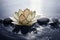 Lotus vesak lanterns floating on water with light reflection